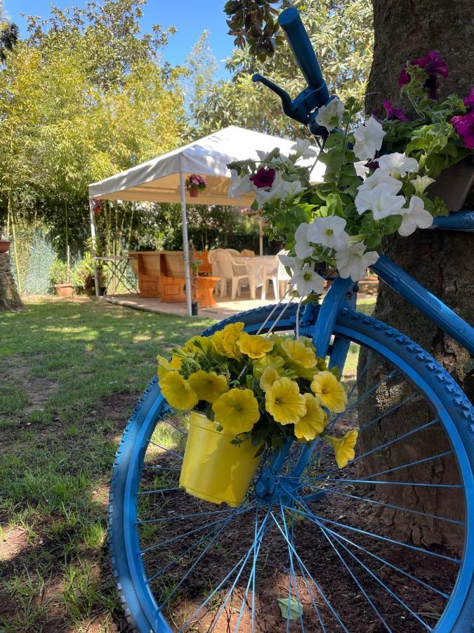 Appartamento In Villa Con Giardino Vicino Al Mare Bella Farnia Exterior foto