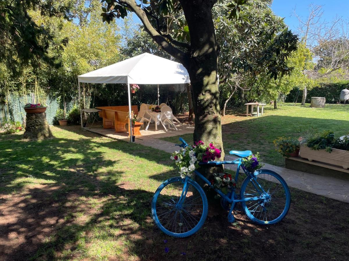 Appartamento In Villa Con Giardino Vicino Al Mare Bella Farnia Exterior foto